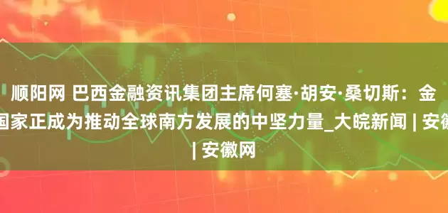顺阳网 巴西金融资讯集团主席何塞·胡安·桑切斯：金砖国家正成为推动全球南方发展的中坚力量_大皖新闻 | 安徽网