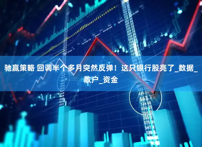 驰赢策略 回调半个多月突然反弹！这只银行股亮了_数据_散户_资金