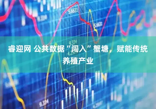 睿迎网 公共数据“闯入”蟹塘，赋能传统养殖产业