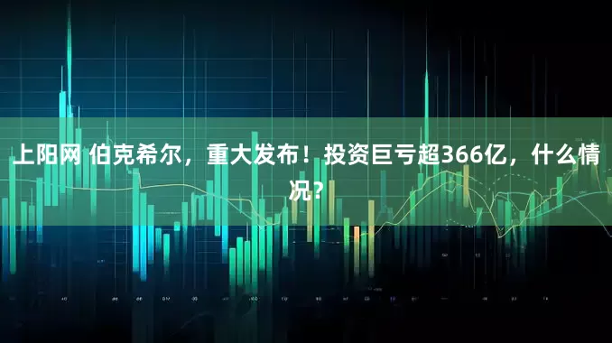 上阳网 伯克希尔，重大发布！投资巨亏超366亿，什么情况？