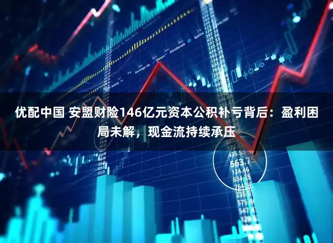 优配中国 安盟财险146亿元资本公积补亏背后：盈利困局未解，现金流持续承压